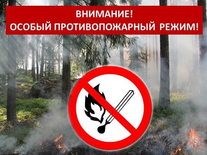 На территории Алтайского края с 25 апреля введён особый противопожарный режим.
